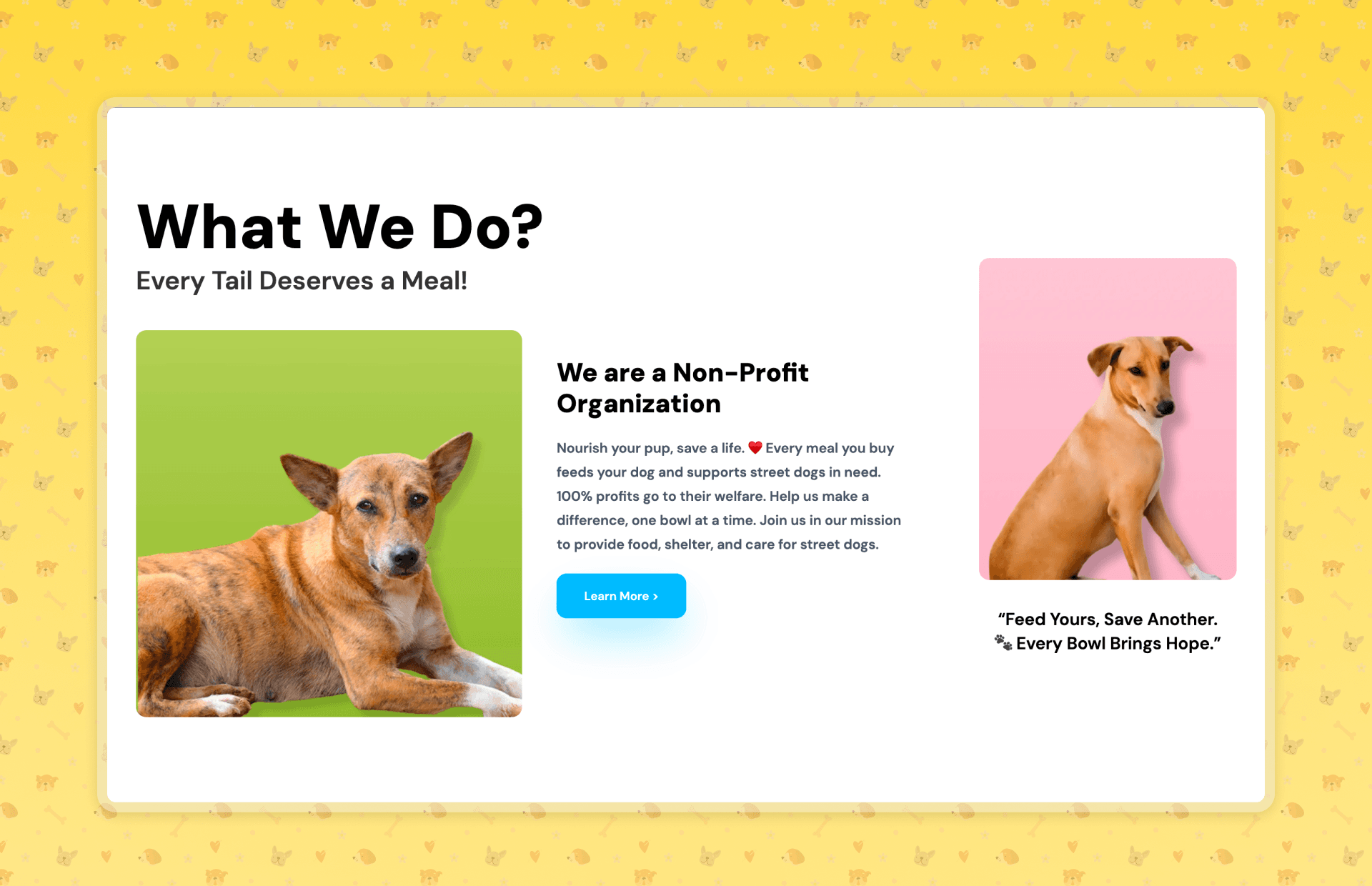 What We Do — Charity Awareness Section